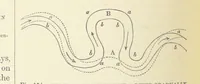 An illustration from Our Earth and its Story: a popular treatise on physical geography. Edited by R. Brown. With ... coloured plates and maps, etc (1893)