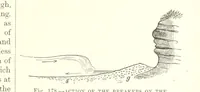 An illustration from Our Earth and its Story: a popular treatise on physical geography. Edited by R. Brown. With ... coloured plates and maps, etc (1893)