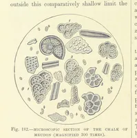 An illustration from Our Earth and its Story: a popular treatise on physical geography. Edited by R. Brown. With ... coloured plates and maps, etc (1893)