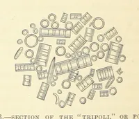 Picture 154 of 418 from Our Earth and its Story: a popular treatise on physical geography. Edited by R. Brown. With ... coloured plates and maps, etc (1893), leaf 388