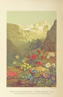 Picture 155 of 418 from Our Earth and its Story: a popular treatise on physical geography. Edited by R. Brown. With ... coloured plates and maps, etc (1893), leaf 390