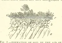 Picture 170 of 418 from Our Earth and its Story: a popular treatise on physical geography. Edited by R. Brown. With ... coloured plates and maps, etc (1893), leaf 427