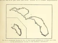 Picture 175 of 418 from Our Earth and its Story: a popular treatise on physical geography. Edited by R. Brown. With ... coloured plates and maps, etc (1893), leaf 439