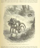 An illustration from Our Earth and its Story: a popular treatise on physical geography. Edited by R. Brown. With ... coloured plates and maps, etc (1893)