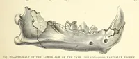 An illustration from Our Earth and its Story: a popular treatise on physical geography. Edited by R. Brown. With ... coloured plates and maps, etc (1893)