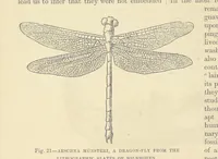 An illustration from Our Earth and its Story: a popular treatise on physical geography. Edited by R. Brown. With ... coloured plates and maps, etc (1893)