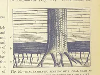 An illustration from Our Earth and its Story: a popular treatise on physical geography. Edited by R. Brown. With ... coloured plates and maps, etc (1893)