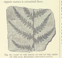 An illustration from Our Earth and its Story: a popular treatise on physical geography. Edited by R. Brown. With ... coloured plates and maps, etc (1893)