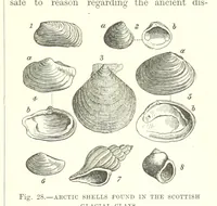Picture 193 of 418 from Our Earth and its Story: a popular treatise on physical geography. Edited by R. Brown. With ... coloured plates and maps, etc (1893), leaf 461
