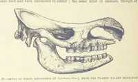Picture 194 of 418 from Our Earth and its Story: a popular treatise on physical geography. Edited by R. Brown. With ... coloured plates and maps, etc (1893), leaf 462