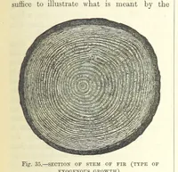 Picture 200 of 418 from Our Earth and its Story: a popular treatise on physical geography. Edited by R. Brown. With ... coloured plates and maps, etc (1893), leaf 473