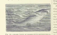 An illustration from Our Earth and its Story: a popular treatise on physical geography. Edited by R. Brown. With ... coloured plates and maps, etc (1893)