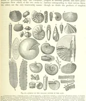 An illustration from Our Earth and its Story: a popular treatise on physical geography. Edited by R. Brown. With ... coloured plates and maps, etc (1893)