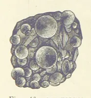 Picture 210 of 418 from Our Earth and its Story: a popular treatise on physical geography. Edited by R. Brown. With ... coloured plates and maps, etc (1893), leaf 486