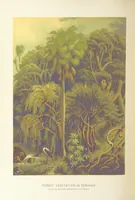 Picture 212 of 418 from Our Earth and its Story: a popular treatise on physical geography. Edited by R. Brown. With ... coloured plates and maps, etc (1893), leaf 490