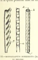 An illustration from Our Earth and its Story: a popular treatise on physical geography. Edited by R. Brown. With ... coloured plates and maps, etc (1893)