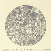 An illustration from Our Earth and its Story: a popular treatise on physical geography. Edited by R. Brown. With ... coloured plates and maps, etc (1893)