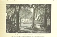 Picture 234 of 418 from Our Earth and its Story: a popular treatise on physical geography. Edited by R. Brown. With ... coloured plates and maps, etc (1893), leaf 519