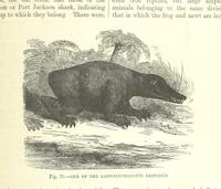 An illustration from Our Earth and its Story: a popular treatise on physical geography. Edited by R. Brown. With ... coloured plates and maps, etc (1893)
