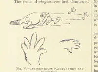 An illustration from Our Earth and its Story: a popular treatise on physical geography. Edited by R. Brown. With ... coloured plates and maps, etc (1893)