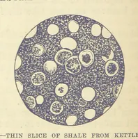 An illustration from Our Earth and its Story: a popular treatise on physical geography. Edited by R. Brown. With ... coloured plates and maps, etc (1893)