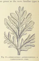 Picture 241 of 418 from Our Earth and its Story: a popular treatise on physical geography. Edited by R. Brown. With ... coloured plates and maps, etc (1893), leaf 530