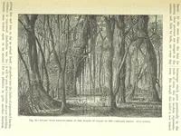 An illustration from Our Earth and its Story: a popular treatise on physical geography. Edited by R. Brown. With ... coloured plates and maps, etc (1893)