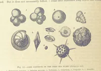 An illustration from Our Earth and its Story: a popular treatise on physical geography. Edited by R. Brown. With ... coloured plates and maps, etc (1893)