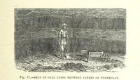 Picture 248 of 418 from Our Earth and its Story: a popular treatise on physical geography. Edited by R. Brown. With ... coloured plates and maps, etc (1893), leaf 543