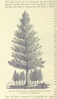 An illustration from Our Earth and its Story: a popular treatise on physical geography. Edited by R. Brown. With ... coloured plates and maps, etc (1893)