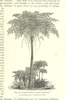 An illustration from Our Earth and its Story: a popular treatise on physical geography. Edited by R. Brown. With ... coloured plates and maps, etc (1893)