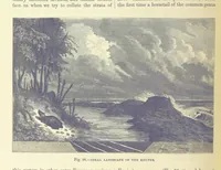 Picture 257 of 418 from Our Earth and its Story: a popular treatise on physical geography. Edited by R. Brown. With ... coloured plates and maps, etc (1893), leaf 562