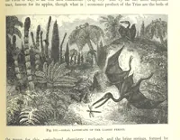 An illustration from Our Earth and its Story: a popular treatise on physical geography. Edited by R. Brown. With ... coloured plates and maps, etc (1893)