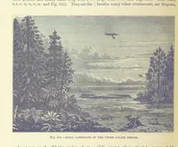 An illustration from Our Earth and its Story: a popular treatise on physical geography. Edited by R. Brown. With ... coloured plates and maps, etc (1893)