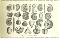 An illustration from Our Earth and its Story: a popular treatise on physical geography. Edited by R. Brown. With ... coloured plates and maps, etc (1893)
