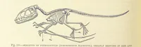 An illustration from Our Earth and its Story: a popular treatise on physical geography. Edited by R. Brown. With ... coloured plates and maps, etc (1893)