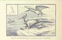Picture 270 of 418 from Our Earth and its Story: a popular treatise on physical geography. Edited by R. Brown. With ... coloured plates and maps, etc (1893), leaf 580