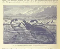 An illustration from Our Earth and its Story: a popular treatise on physical geography. Edited by R. Brown. With ... coloured plates and maps, etc (1893)