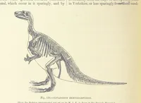 An illustration from Our Earth and its Story: a popular treatise on physical geography. Edited by R. Brown. With ... coloured plates and maps, etc (1893)