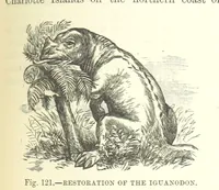 Picture 280 of 418 from Our Earth and its Story: a popular treatise on physical geography. Edited by R. Brown. With ... coloured plates and maps, etc (1893), leaf 601
