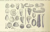 An illustration from Our Earth and its Story: a popular treatise on physical geography. Edited by R. Brown. With ... coloured plates and maps, etc (1893)