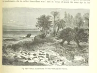 Picture 284 of 418 from Our Earth and its Story: a popular treatise on physical geography. Edited by R. Brown. With ... coloured plates and maps, etc (1893), leaf 609