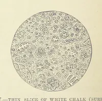 An illustration from Our Earth and its Story: a popular treatise on physical geography. Edited by R. Brown. With ... coloured plates and maps, etc (1893)