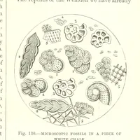 An illustration from Our Earth and its Story: a popular treatise on physical geography. Edited by R. Brown. With ... coloured plates and maps, etc (1893)