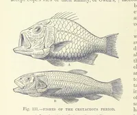 An illustration from Our Earth and its Story: a popular treatise on physical geography. Edited by R. Brown. With ... coloured plates and maps, etc (1893)