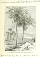 An illustration from Our Earth and its Story: a popular treatise on physical geography. Edited by R. Brown. With ... coloured plates and maps, etc (1893)