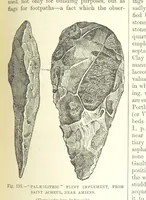 Picture 294 of 418 from Our Earth and its Story: a popular treatise on physical geography. Edited by R. Brown. With ... coloured plates and maps, etc (1893), leaf 623