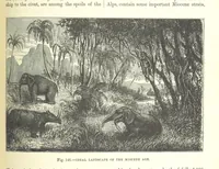 An illustration from Our Earth and its Story: a popular treatise on physical geography. Edited by R. Brown. With ... coloured plates and maps, etc (1893)
