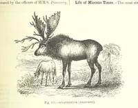 An illustration from Our Earth and its Story: a popular treatise on physical geography. Edited by R. Brown. With ... coloured plates and maps, etc (1893)