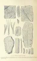 An illustration from Our Earth and its Story: a popular treatise on physical geography. Edited by R. Brown. With ... coloured plates and maps, etc (1893)